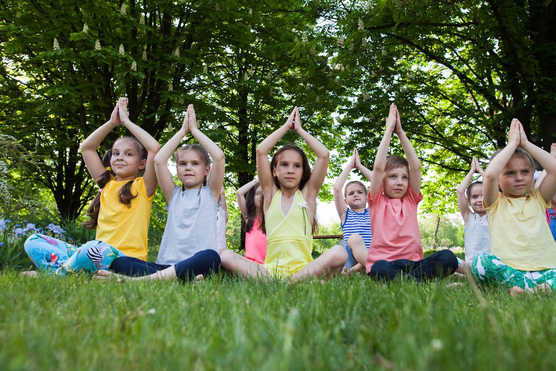 A large group of children engaged in yoga in the Park sitting on the grass